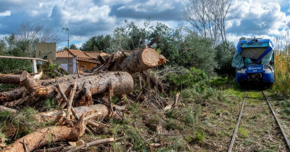 Τα δέντρα που... έβλεπαν τα τρένα να (μην) περνούν